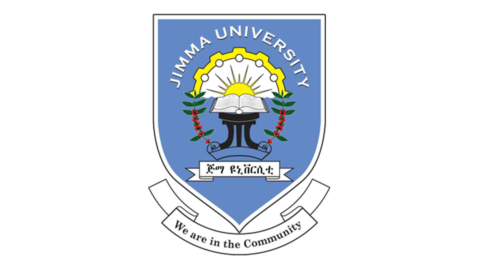 1Jimma-University