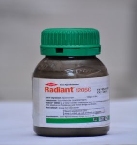1aradiant-283x300