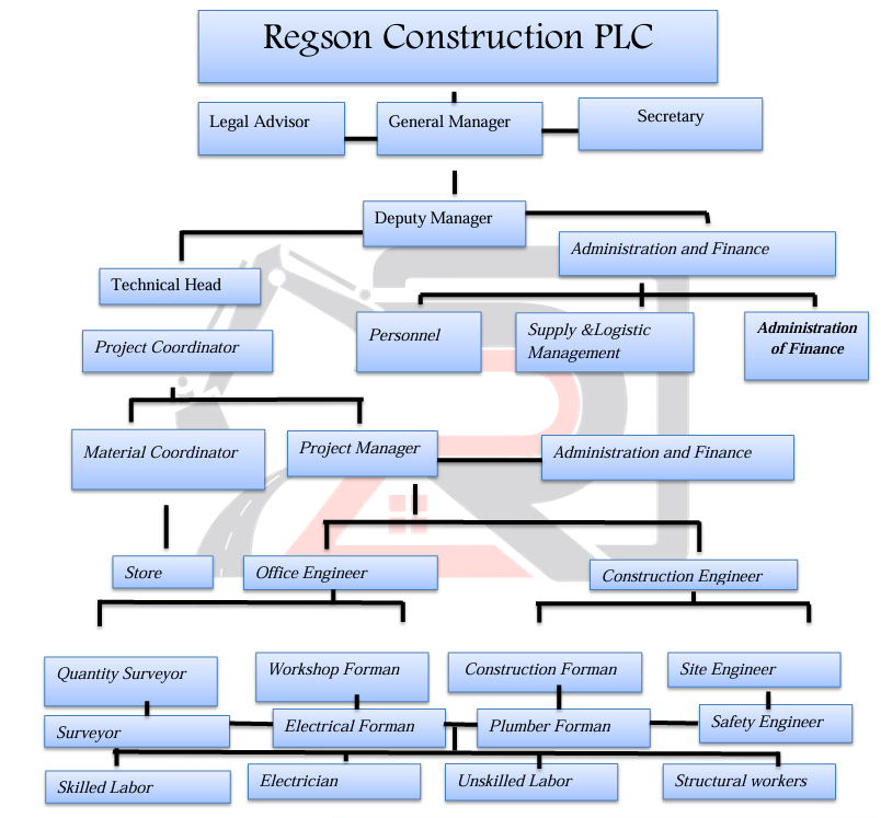 REG organization