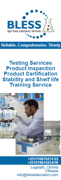 Bless Lab Home SB P4