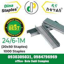 Dina Staples Bus iness DirectorySB P6