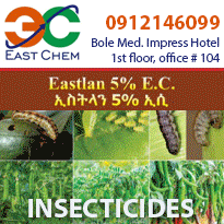 Eastchem Business Directory SB P3