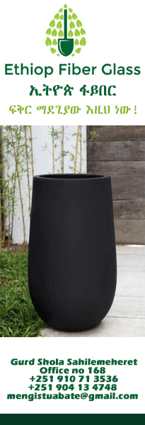 Ethiop Fiberglass Home SB P4