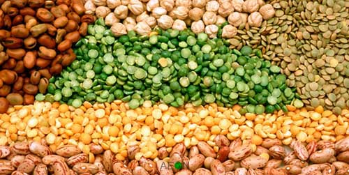 Exporters-of-Oil-Seeds-and-Pulses-768x385