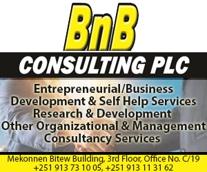 BNB CONSULTING