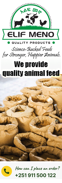 Elif Meno SB Business Directory 08