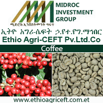 Ethio Agri-Ceft Home SB P3