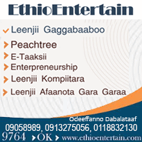 EthioENT Business Directory P3