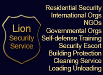 Lion Security News Page Position 3 Shared Banner