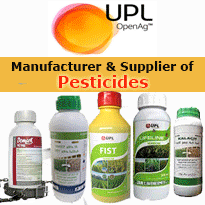 UPL Business Directory SB P3