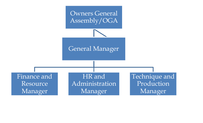 Company structure