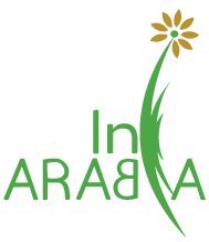 In-Arabia Solutions Ltd.