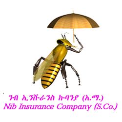 NIB INSURANCE COMPANY S.C.