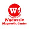 Wudassie Diagnostic Center