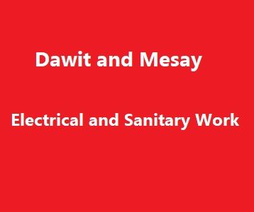 Dawit and Mesay Electrical and Sanitary Work PS | ዳዊት እና መሳይ ኤሌክትሪካል እና ሳኒቴሪይ ስራ ህ.ሽ.ማ