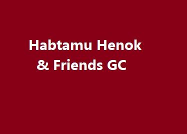 Habtamu Henok and Friends GC P/S | ሃብታሙ ሄኖክ እና ጓደኞቻቸው ጠቅላላ ስራ ተቋራጭ ህ.ሽ.ማ