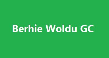 Berhie Woldu GC | በርሄ ወልዱ ጠቅላላ ስራ ተቋራጭ