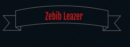 Zebib leather | ዘቢብ ሌዘር የቆዳ ውጤቶች