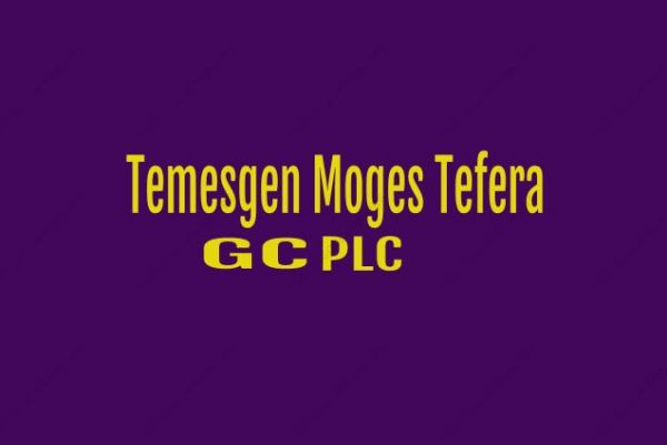 Temesgen Moges Tefera  General Construction | ተመስገን ሞገስ ተፈራ  ጠቅላላ ስራ ተቋራጭ ህ.ሽ.ማ