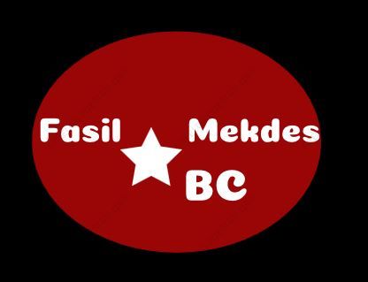 Fasil and Mekdes Building Contractor Partnership | ፋሲል እና መቅደስ ሕንፃ ስራ ተቋራጭ