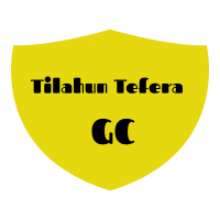 Tilahun Tefera General Construction