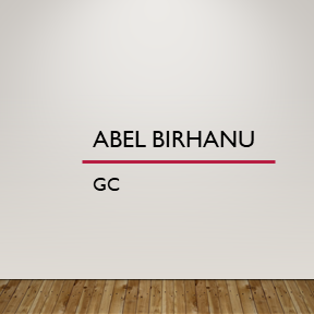 Abel Birhanu Gebre GC | አቤል ብርሐኑ ጠቅላላ ስራ ተቋራጭ