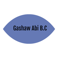 Gashaw Abi Building Construction | ጋሻው አቢ ህንጻ ስራ ተቋራጭ