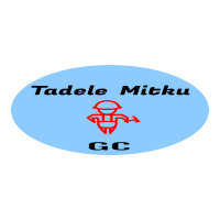 Tadel Mitku General Construction PLC | ታደለ ምትኩ ጠቅላላ ስራ ተቋራጭ