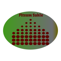 Fitsum Sahle General Construction | ፍፁም ሳህለ ጠቅላላ ስራ ተቋራጭ