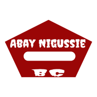 Abay Nigussie BC | አባይ ንጉሴ የሕንፃ ስራ ተቋራጭ