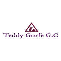 Teddy Gorfe Asefa G.C | ቴዲ ጎርፌ አሰፋ ጠቅላላ ስራ ተቋራጭ