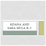 Kdane and Sara Mula B. C | ክዳኔ እና ሳራ ህንጻ ስራ ተቋራጭ