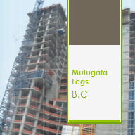 Mulugeta Legesse Building Construction | ሙሉጌታ ለገሰ ህንፃ ስራ ተቋራጭ
