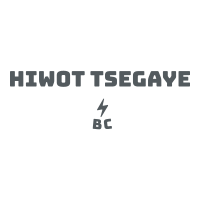 Hiwot Tsegaye Building Construction PLC | ሂዎት ፀጋዬ ህንጻ ስራ ተቋራጭ ኃ/የተ/የግ/ማ