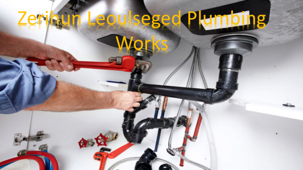 Zerihun Leoulseged Plumbing Works  / ዘሪሁን ልኡልሰገድ ቧንቧ ስራ