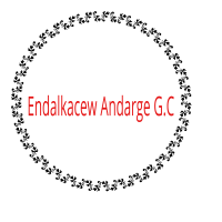 Endalkacew Andarge G.C | እንዳልካቸው አንዳርጌ ጠቅላላ ስራ ተቋራጭ