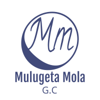 Mulugeta Mola  General Construction |  ሙሉጌታ ሞላ ጠቅላላ ስራ ተቋራጭ