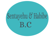 Sentayehu and Habibe Building Construction | ስንታየሁና ሃቢብ ህንፃና መንገድ ስራ
