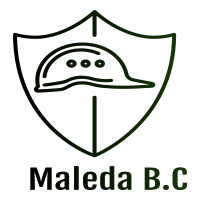 Maleda Building Construction P.L.C | ማለዳ የህንፃ ስራ ተቋራጭ ኃ.የተ.የግ.ማ