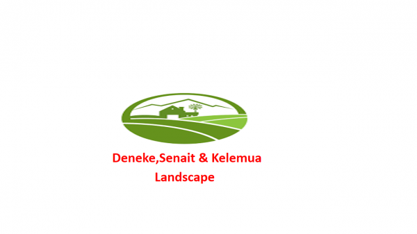 Deneke,Senait & Kelemua Different Plant Production Sales & LandScape