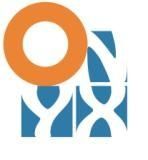 Onyx For Engineering & Integrated Solutions (Ethiopia) PLC