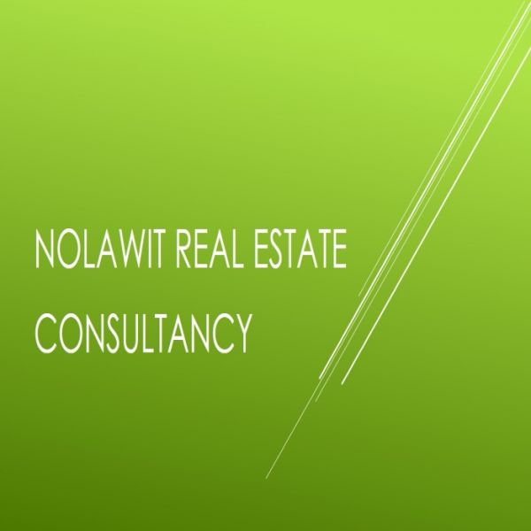 Nolawit Real Estate Consultant