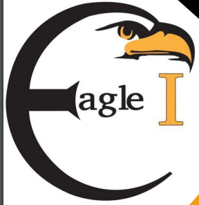 Eagle I Consultancy & Tech PLC