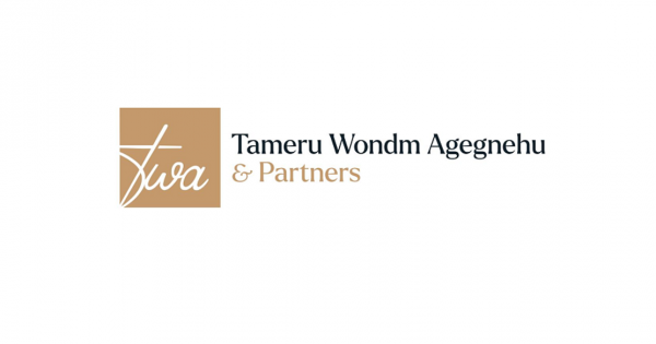 Tameru Wondm Agegnehu and Partners Legal Service Limited Liability Partnership