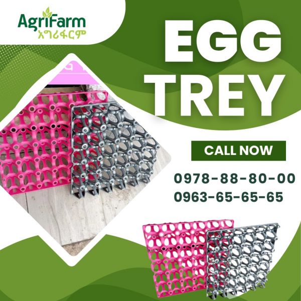 TREY (Plastic Egg Tray) supplied by Agrifarm