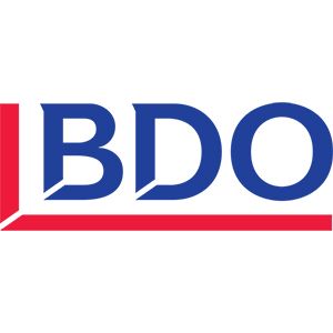 BDO Consulting PLC