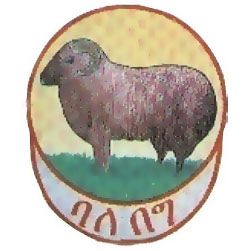 Debre Berhan Blanket Factory PLC