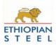 ETHIOPIAN STEEL PLC