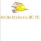 Addis Mekuria BC | አዲስ መኩሪያ የሕንፃ ስራ ተቋራጭ