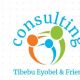 Tibebu Eyobel and Their Friends Consulting | ጥበቡ እዮቤል እና ጓደኞቻቸው አማካሪ